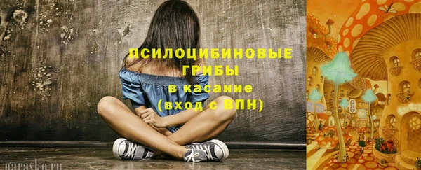 твердый Сосновый Бор